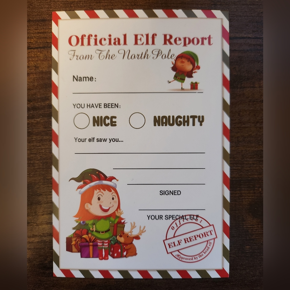 PERSONALIZED ELF REPORT 🎄+ FREE GIFT